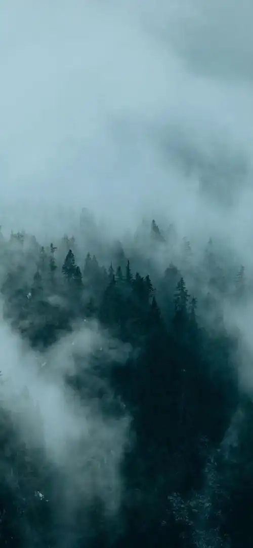 1600_3462竖版 竖屏