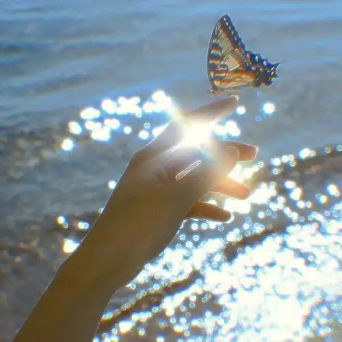 唯美头像图片2021最火爆高清2021年最流行的微信头像图片