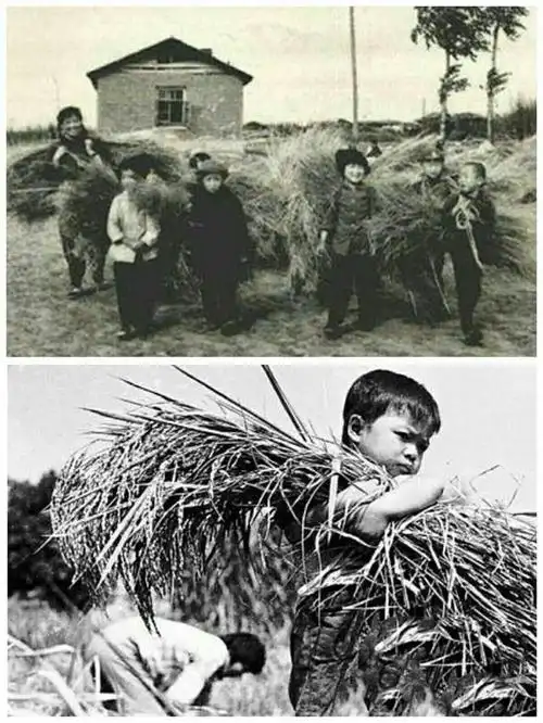 六七十年代农村的集体记忆,这些老照片你不一定见过