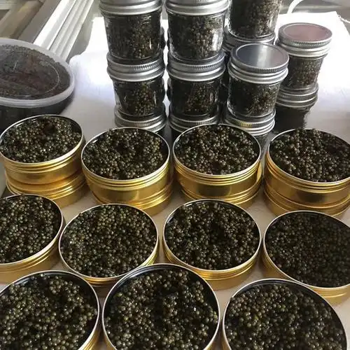 酒店贝壳勺装 鱼子酱食材100克套装由"备货网"根据销量,好评率,价格和