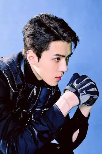 团体*1  kai单人*2  灿烈单人*2  世勋单人*2】 【exo】正规六辑主打