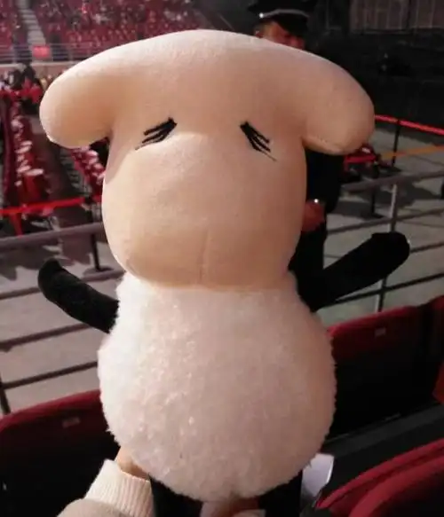 易烊千玺送给粉丝的玫瑰和小羊,一个说到做到的男人