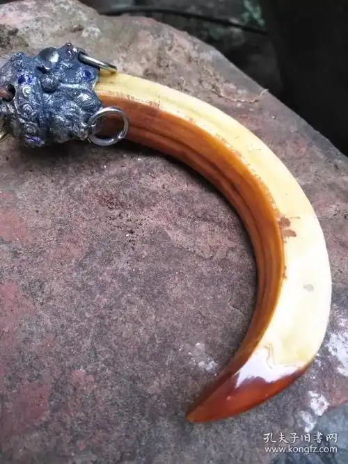 正宗野猪牙吊坠野猪獠牙手把件