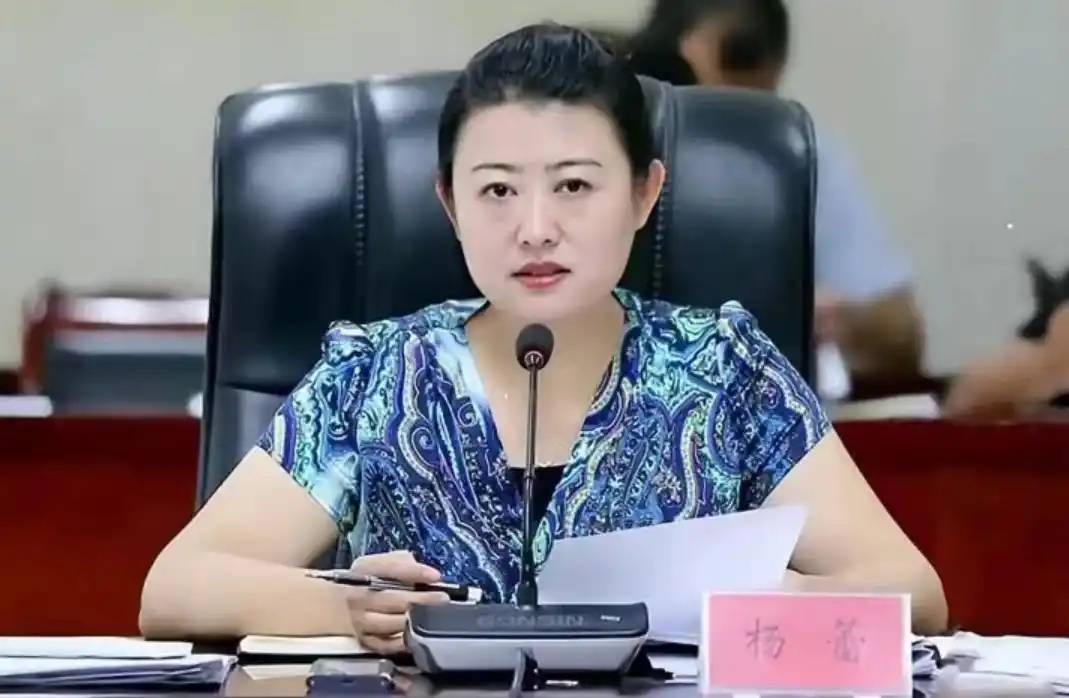 80后"女县长"杨蕾走红,貌美胆大履历丰富,毕业院校更是不一般