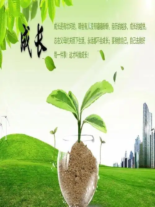 六年五班 张悦洋成长的足迹