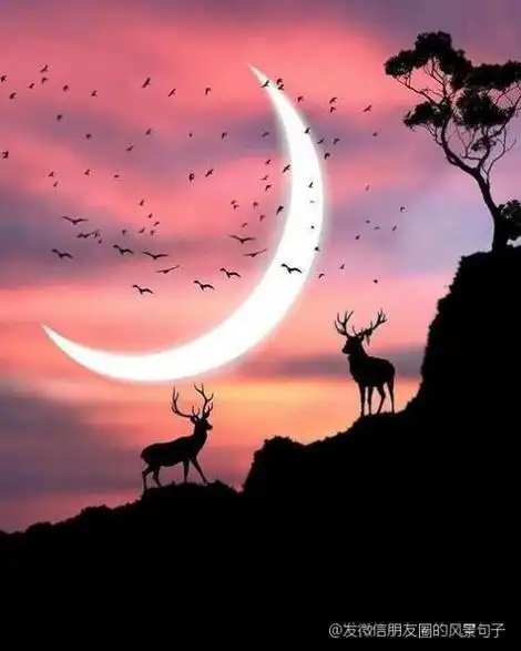 发微信朋友圈的风景句子(发朋友圈风景的句子 心情短句)「知识普及」