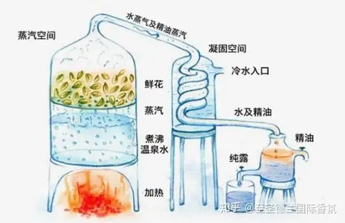 至圣德兰国际香氛 1,水蒸气蒸馏法:操作最简单,成本较低,是最常用的