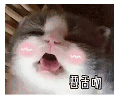 每日一囧撩人专用亲亲表情