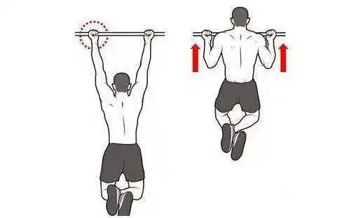 增肥计划:一周四练之背,肱二头肌,腰