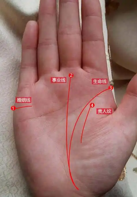 手相发生了变化手相变化是怎么回事,相先三纹感情线智慧线生命线基本