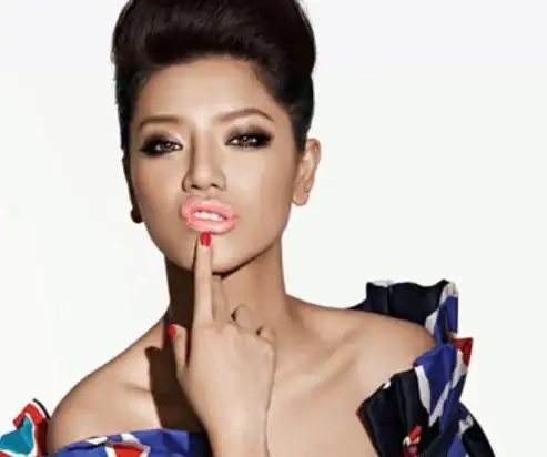 《超级女声》6大冠军现状, 图1还在叱咤乐坛, 图4却已被人淡忘!_超女