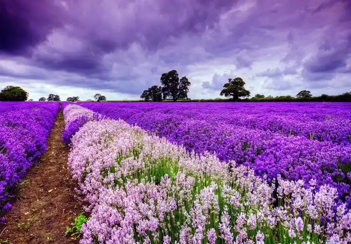 阳光和煦的好天气体会了一整天的岁月静好很美很惬意