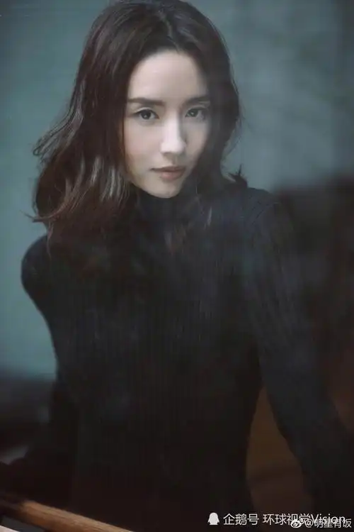 还是那个冷艳独立的冷清秋,董洁的骨子里有种与生俱来的高贵气质