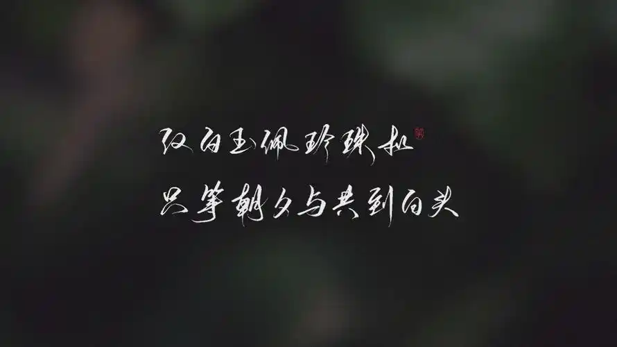 板写 > 碎玉投珠