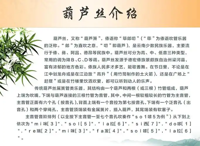 傣灵 青铜拉丝三音葫芦丝 降b调(防摔型)8810