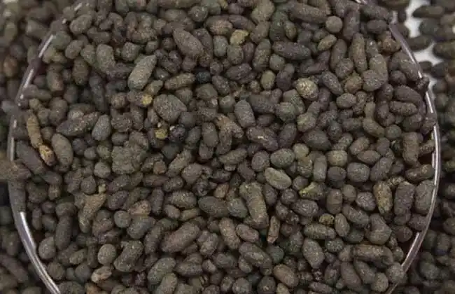 这可是宝藏,要知道蝙蝠屎其实也有着另一个别致的名字——夜明砂,是