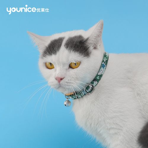 猫铃铛项圈脖圈可调节英短蓝猫可爱小幼猫猫脖圈带铃铛猫脖子饰品