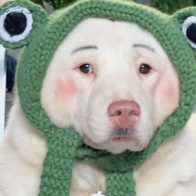 贱嗖嗖的表情包_微信_方法_相册