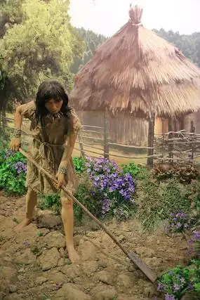 原始人用火后存留的灰烬