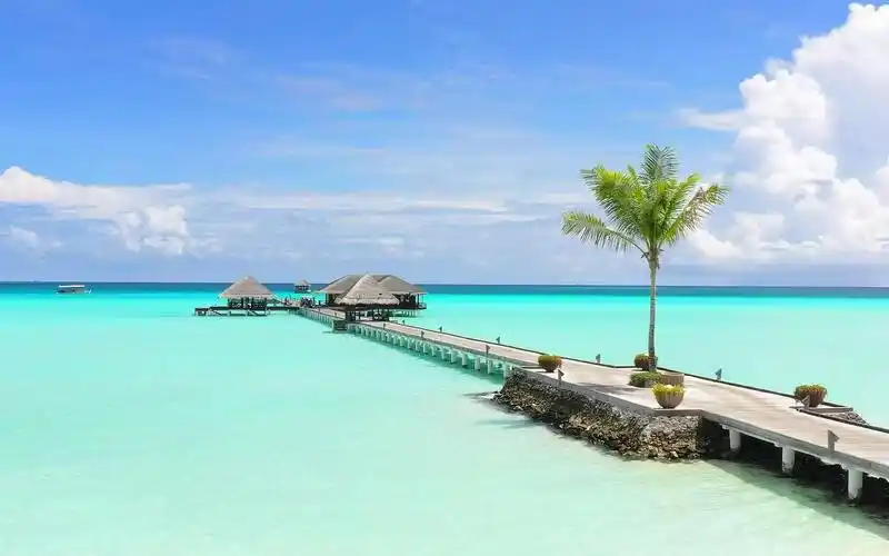 世界如此美好——大海篇1