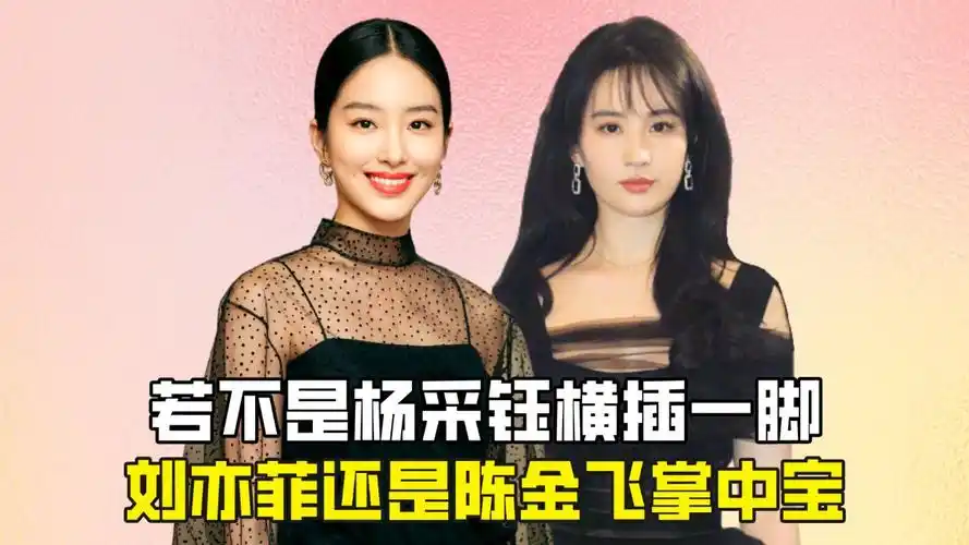 若不是杨采钰横插一脚,刘亦菲还是陈金飞掌中宝