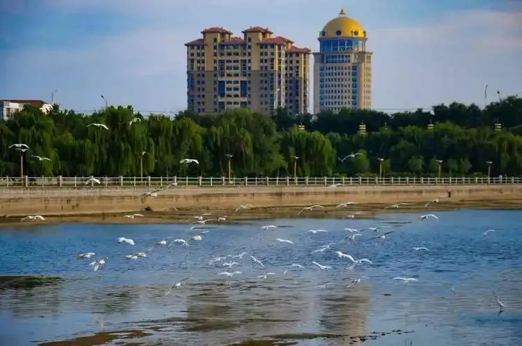 【烟台日报·壮丽70年 奋斗新时代】烟台70年发展成就巡礼之莱阳篇!