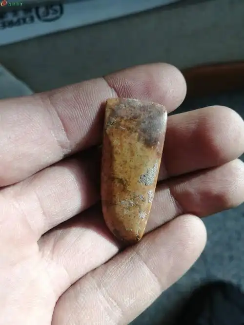 大开门红山玉斧