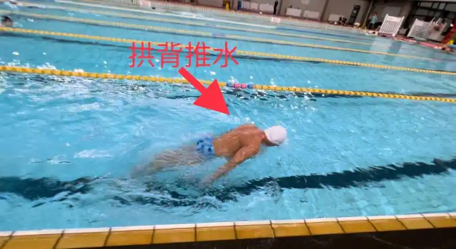 蝶泳练习12关键帧自析