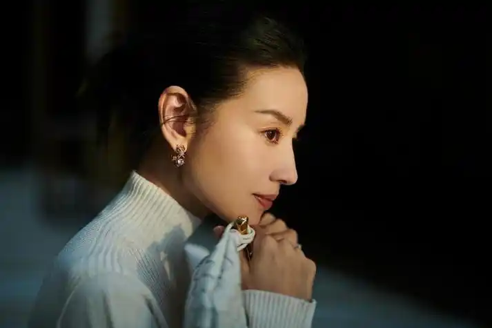 董洁盘发造型简约干练侧颜优越精致迷人