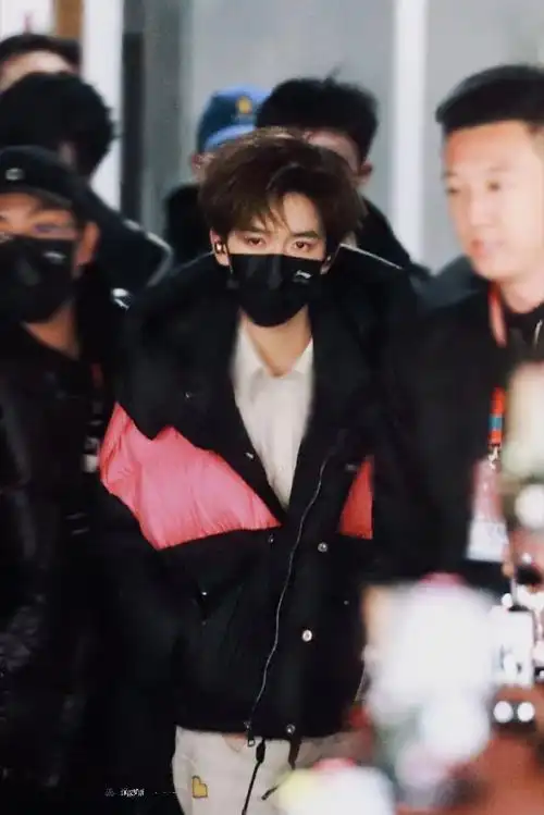 贺峻霖 梦蝶破笼