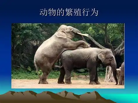 动物的繁殖行为动物自然繁育方式2022已更新今日热点