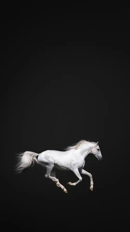 唯美意境,黑白,创意,唯美,黑白,创意,手机壁纸iphone黑白创意