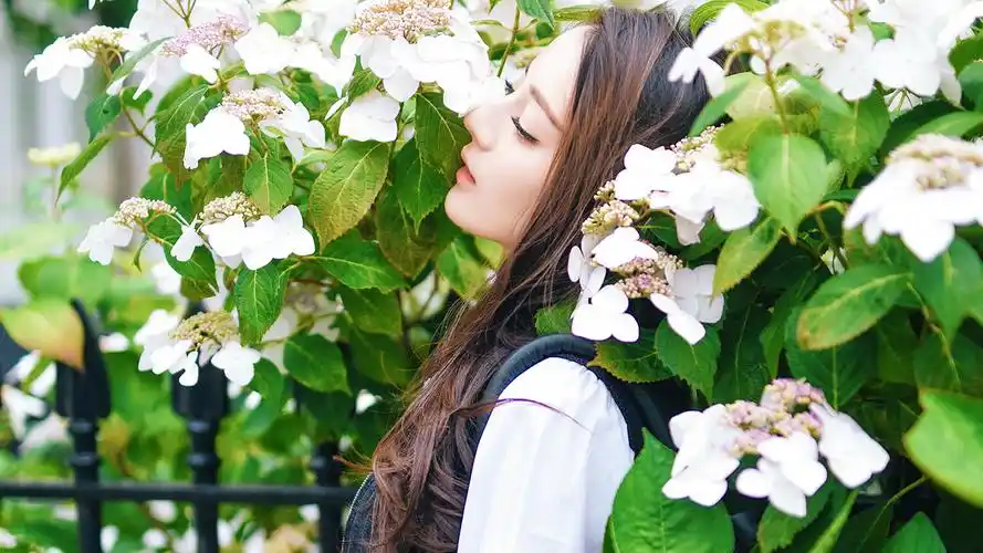 精致五官迪丽热巴壁纸_漂亮迷人的迪丽热巴