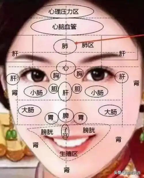 本文关键词:面部美容部位图解,脸部部位名称示意图,脸部部位名称分布
