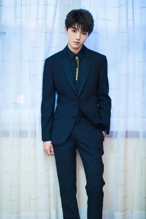 王俊凯正装出席论坛会议呼吁关注生态文明