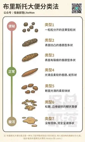 猫狗大便正常吗如何从粑粑看健康健康中级