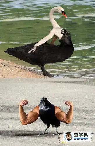 搞笑图片 - 查字典