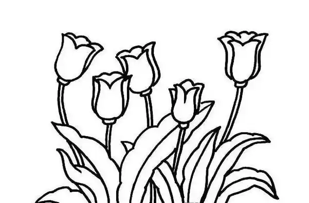 盛开的花的儿童简笔画 简笔画图片大全-普车都