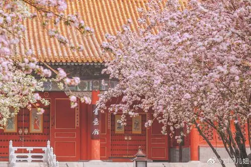 故宫- 堆糖,美图壁纸兴趣社区