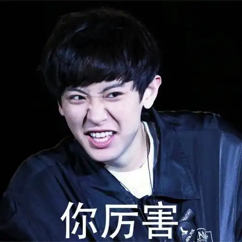 有一次陷入表情包世界无法自拔…… _ 朴灿烈 表情包cy 朴灿烈 表情包