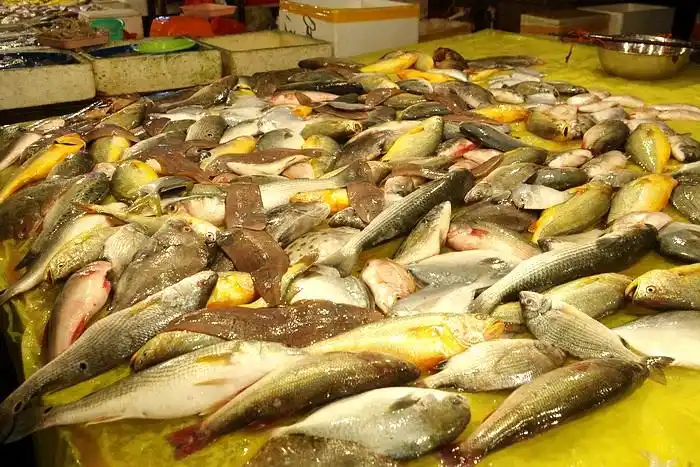 宁德蕉南农贸市场海鲜眼花缭乱小吃物美价廉