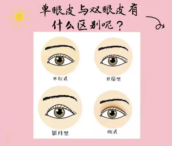 武汉美基元单眼皮与双眼皮有什么区别呢