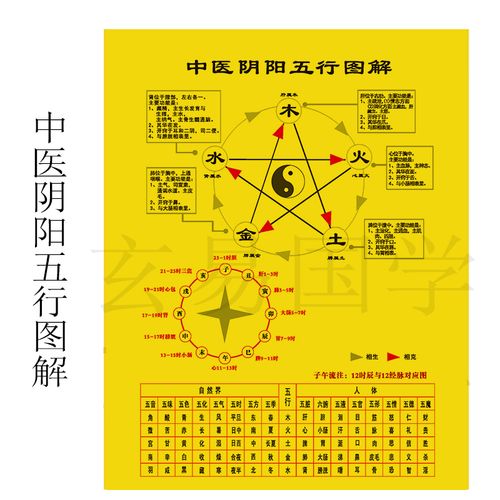 中医五行相生相克图