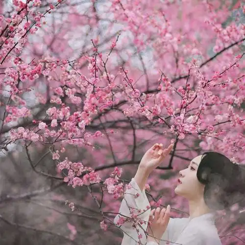 古风真人 壁纸 女生头像 女头 小清新 虐心 唯美 高清 意境 古风 古风