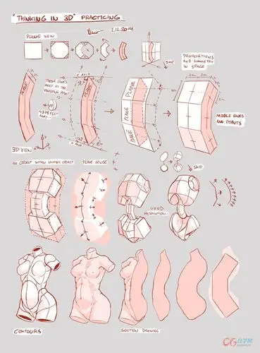 漫画人体结构比例辅助线稿素材资料96p