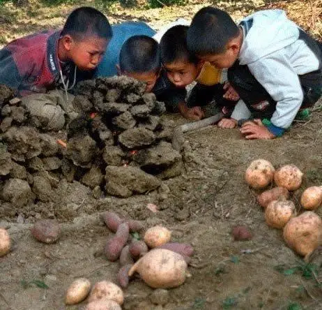 幸福,什么都有,但我们也有我们自己更美好的东西,也正因为这样,回忆