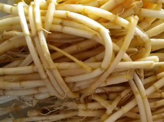 白茅根对消除痔疮肉球,有好的效果,这种方法你试过么