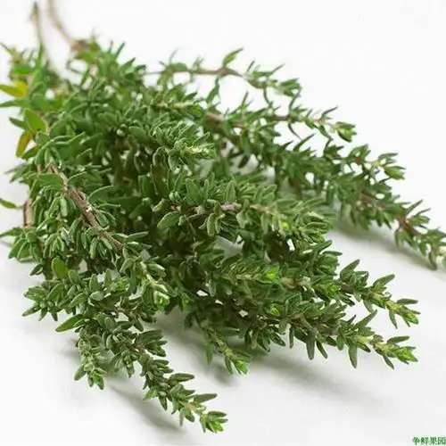 新鲜蔬菜 新鲜百里香 thyme 麝香草 西餐香草 100g/份 顺丰快递