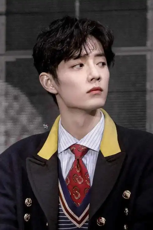 肖战个人资料简介详细,肖战个人介绍资料(都说肖战颜值高)