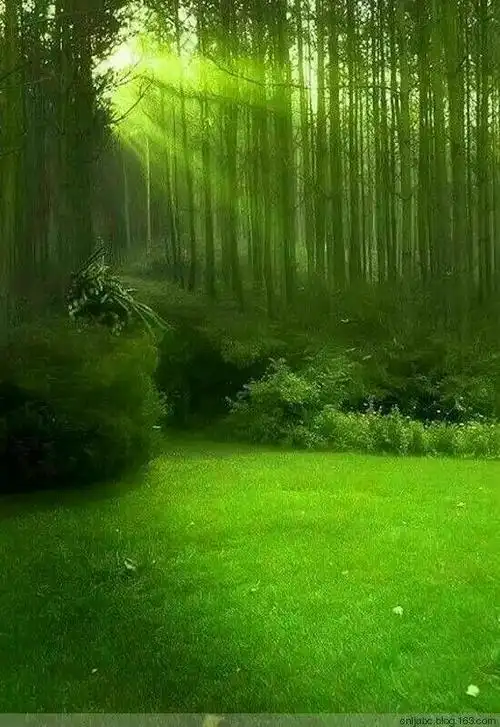 微信护眼聊天背景墙…… 图片来自网络